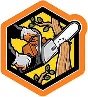 Expertise Aigremont Taille Raisonnée